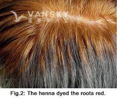 240910163313_Hair-Dying with henna-s.jpg